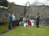 Polytunnel 13